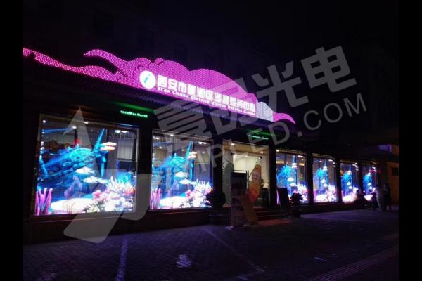 櫥窗 | 未來已來，商業(yè)櫥窗標(biāo)配@自由新流媒